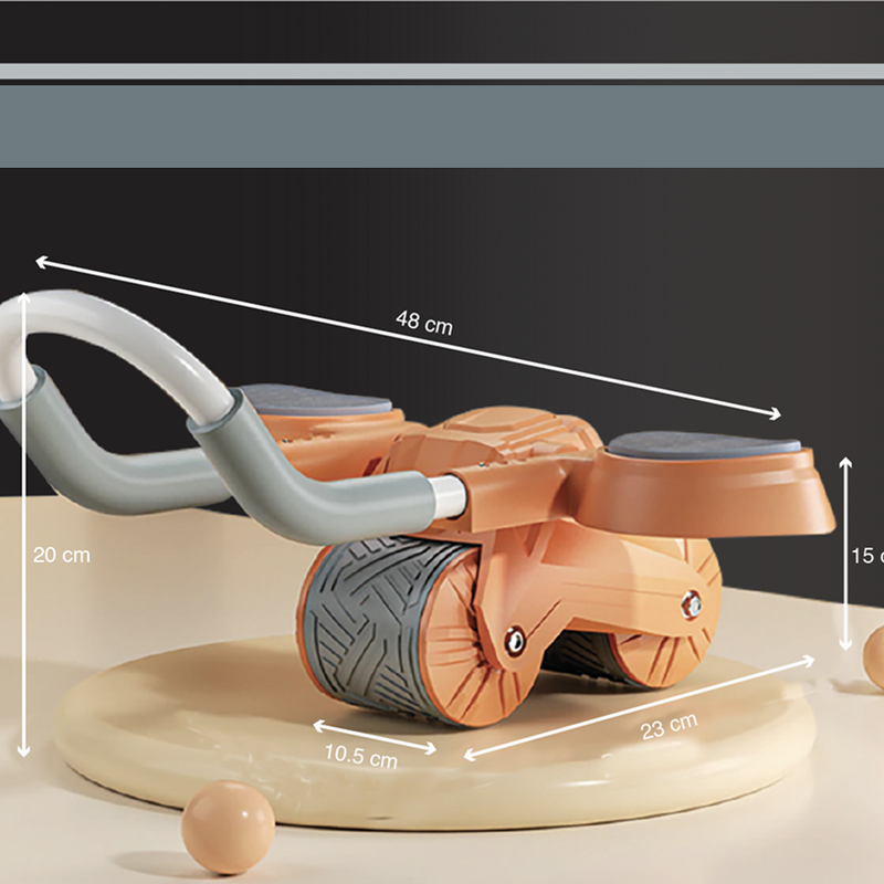 Abs Roller Wheel for Core Training | 1 Year Warranty